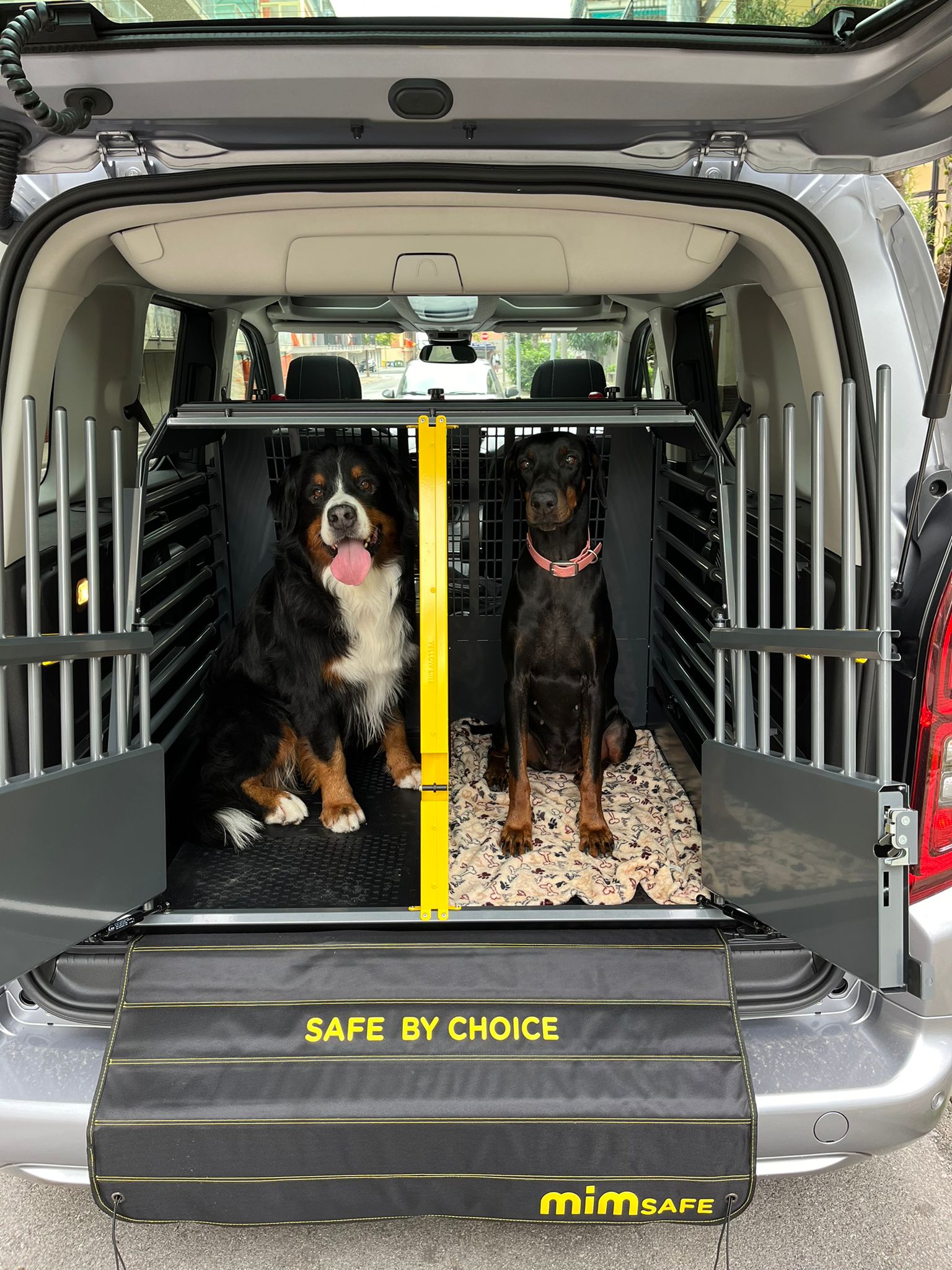 Trasportino auto omologato e testato – Come misurare l’auto