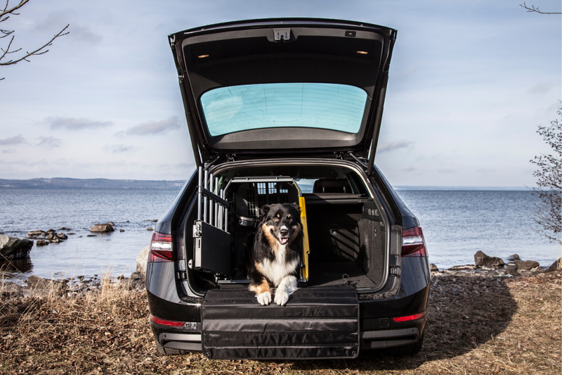 Trasportini singoli per cani