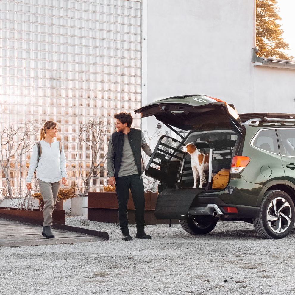 Protezione auto per cani Bumper paraurti