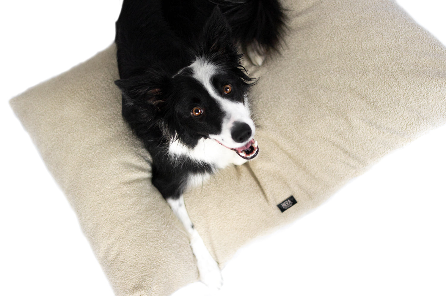 Cuscino per cani Cortina Teddy