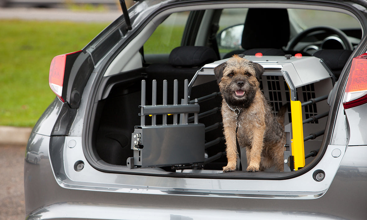 Trasportino per cani vario compatto