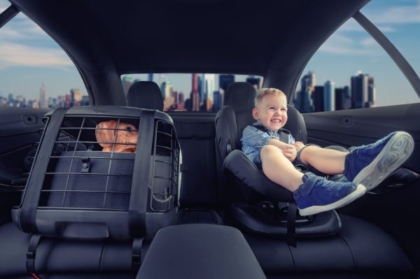 Trasportino per cani da sedile Caree Black Series