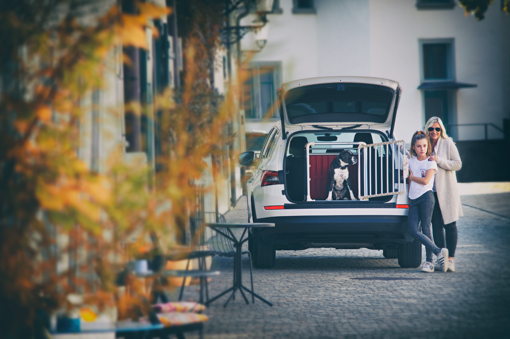 Trasportino per cani doppio Pro 22