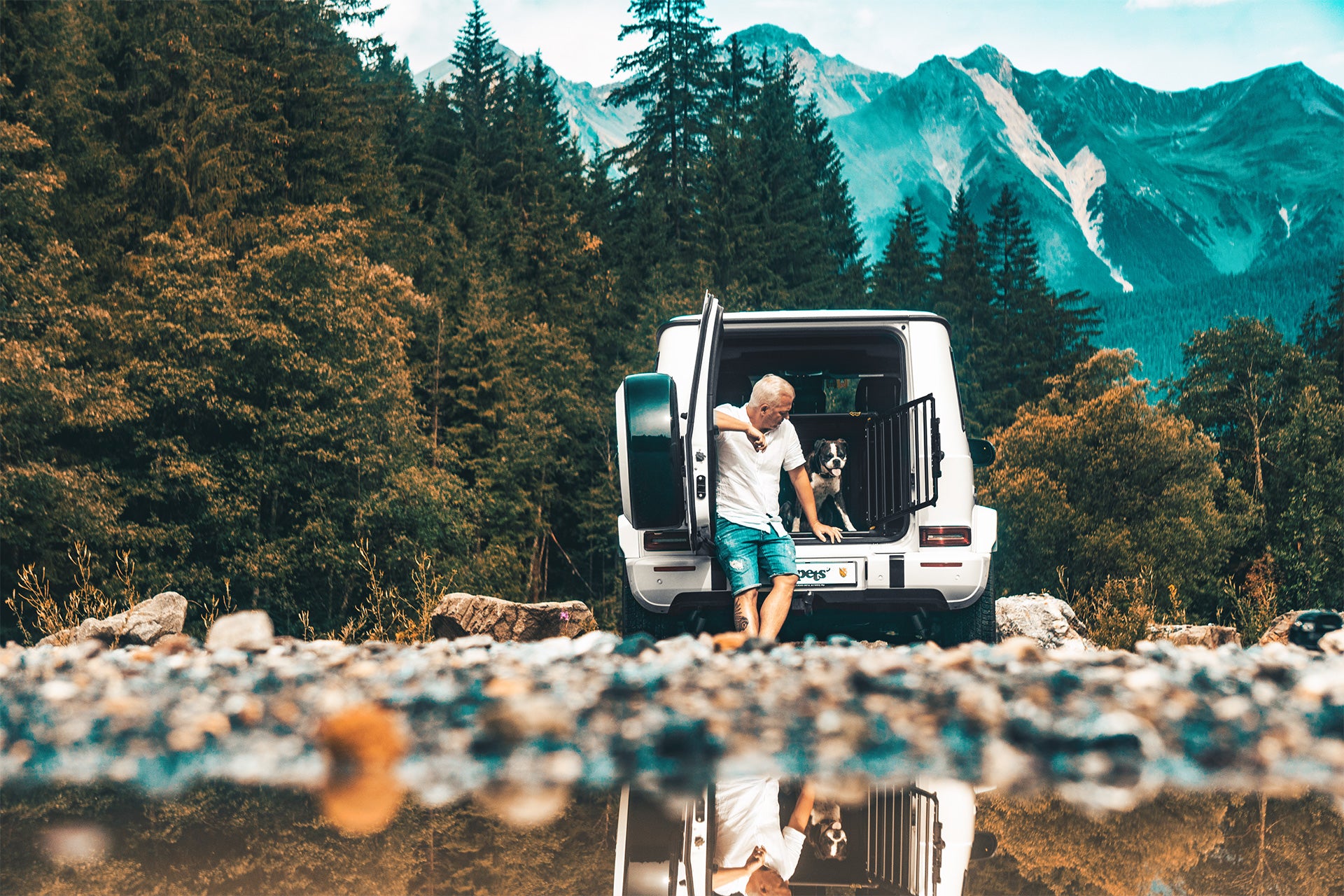 Trasportino cani auto crash tested Pro 4 noir