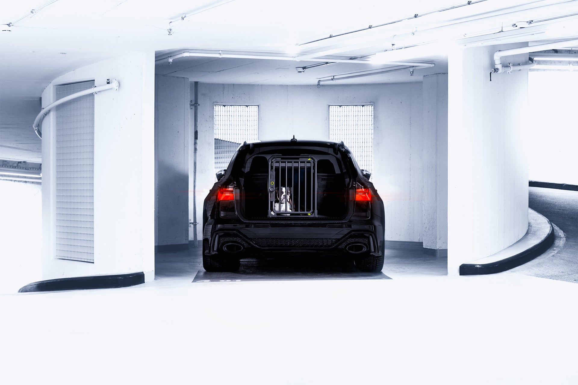 Trasportino auto doppio cani Pro 22 noir