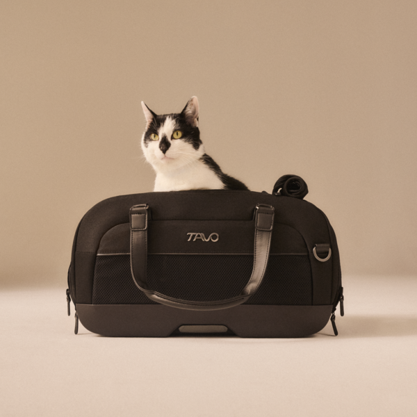 Trasportino da aereo e treno per cani taglia toy Dupree II