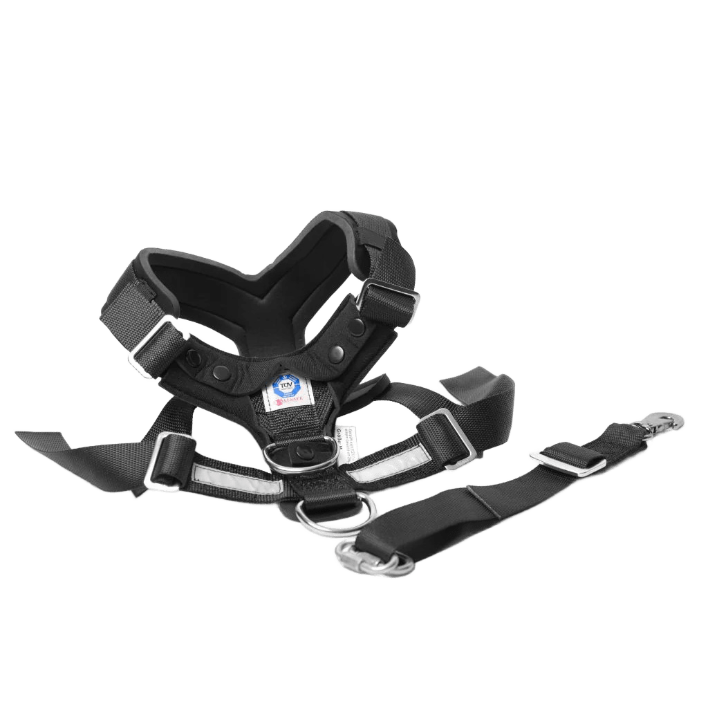 Pettorina per auto per cani crash tested