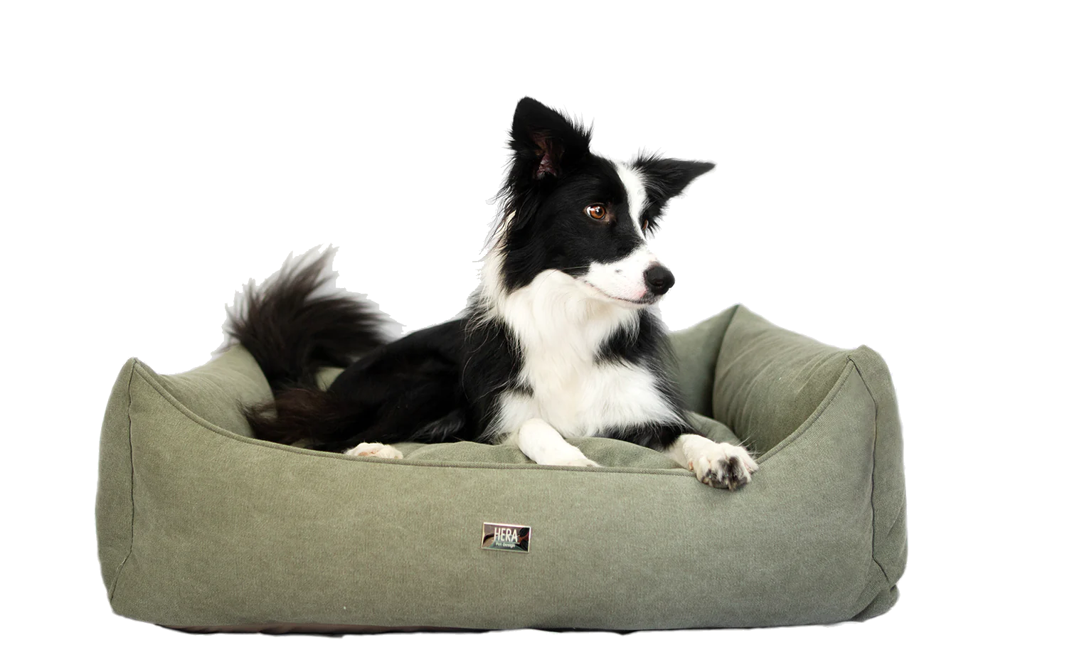 Cuscino per cani Jeans Verde