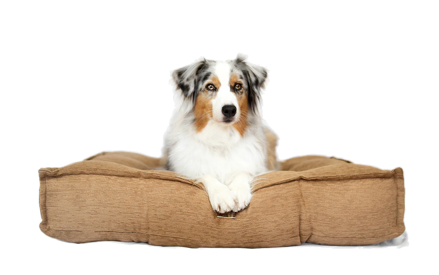 Cuscino per cani London