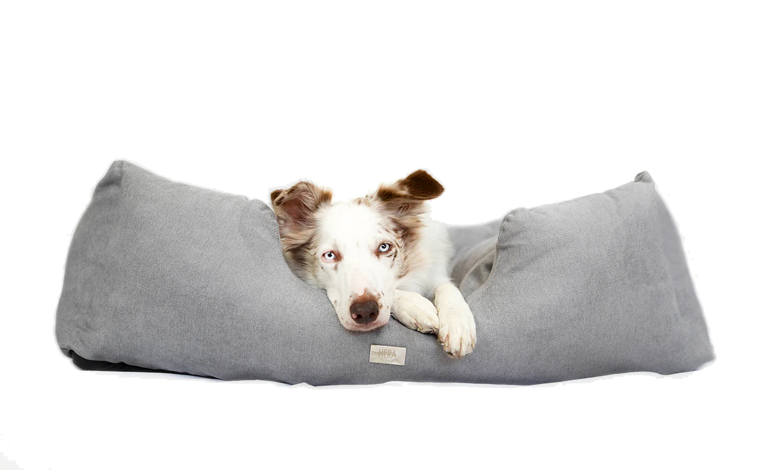 Cuscino per cani New York