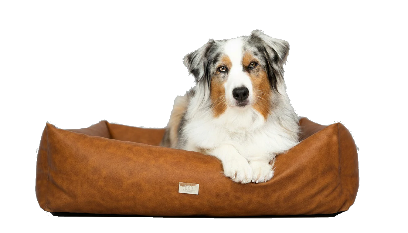 Cuscino per cani Vintage