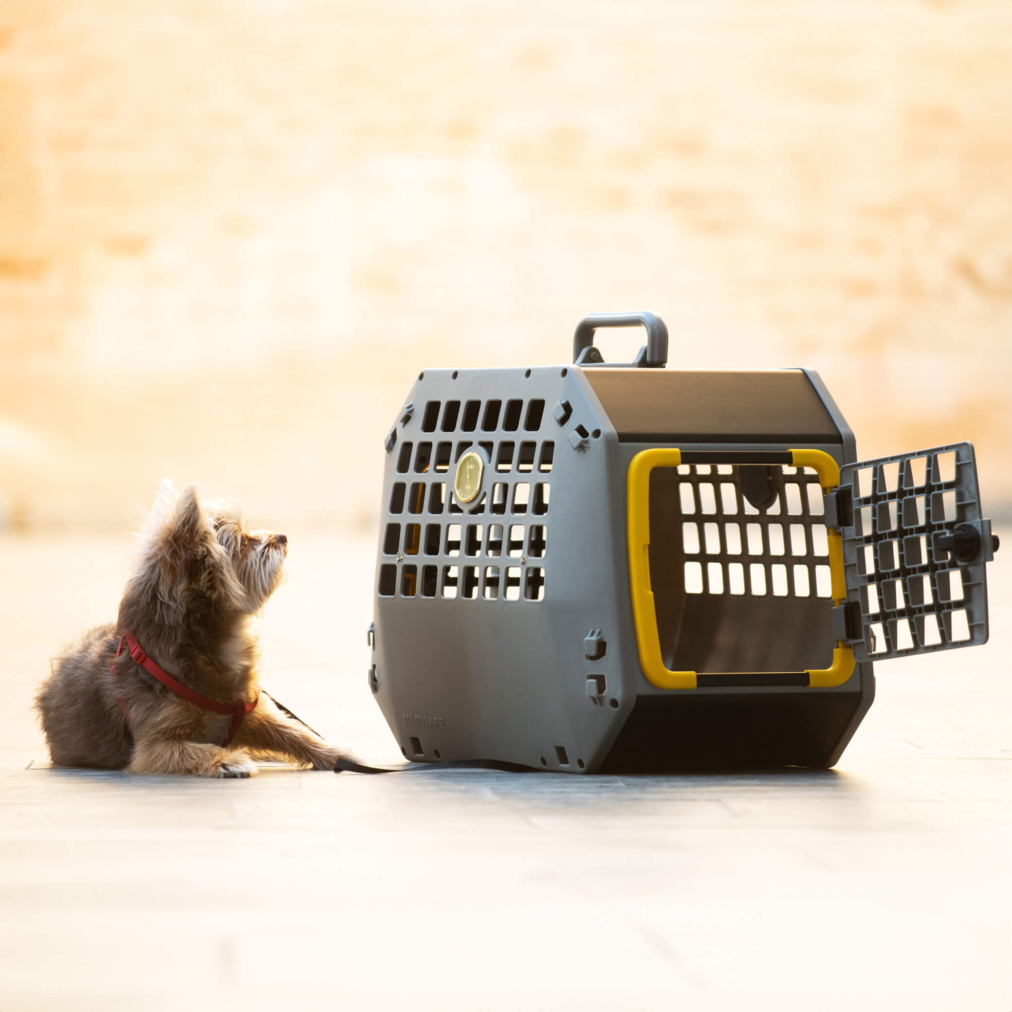 Trasportino per cani taglia mini medium grey