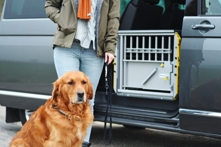 Trasportino cani furgone multicage doppio