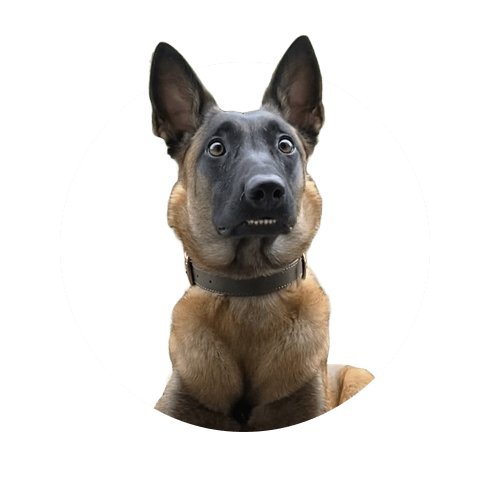 La mia vita dipende da te!