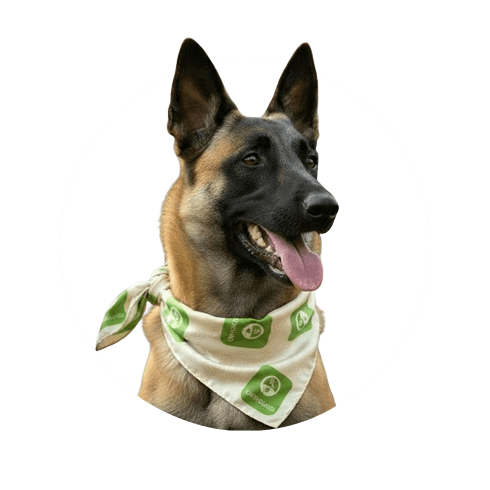 Non solo resistente, ma anche green