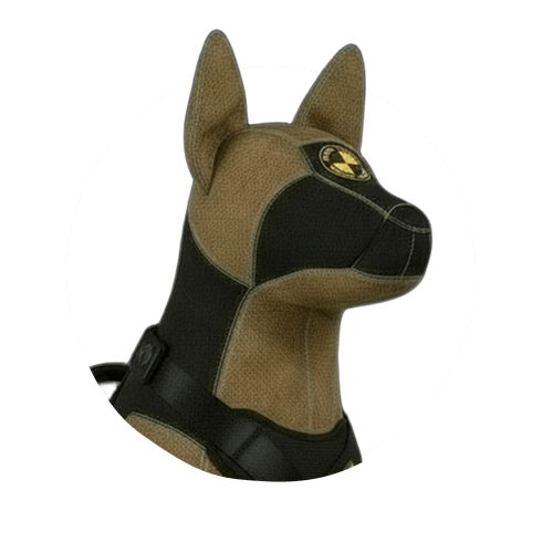 Crash Tested: cosa significa?