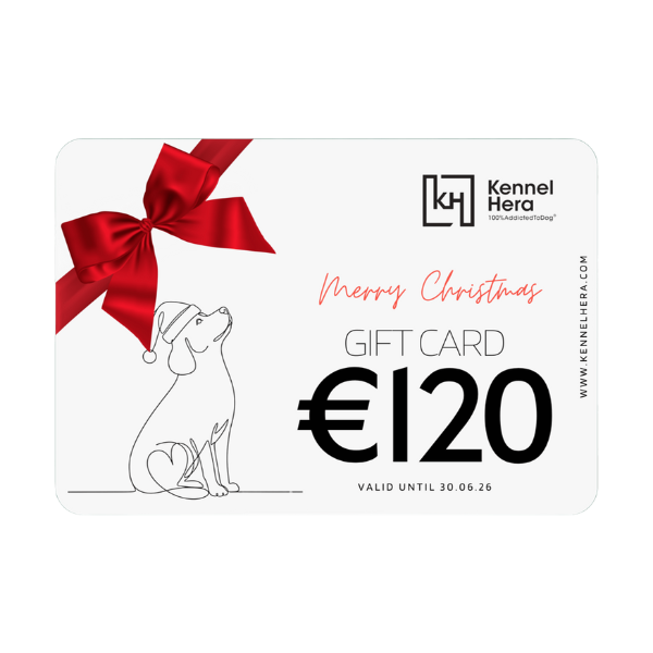 Gift Card €120