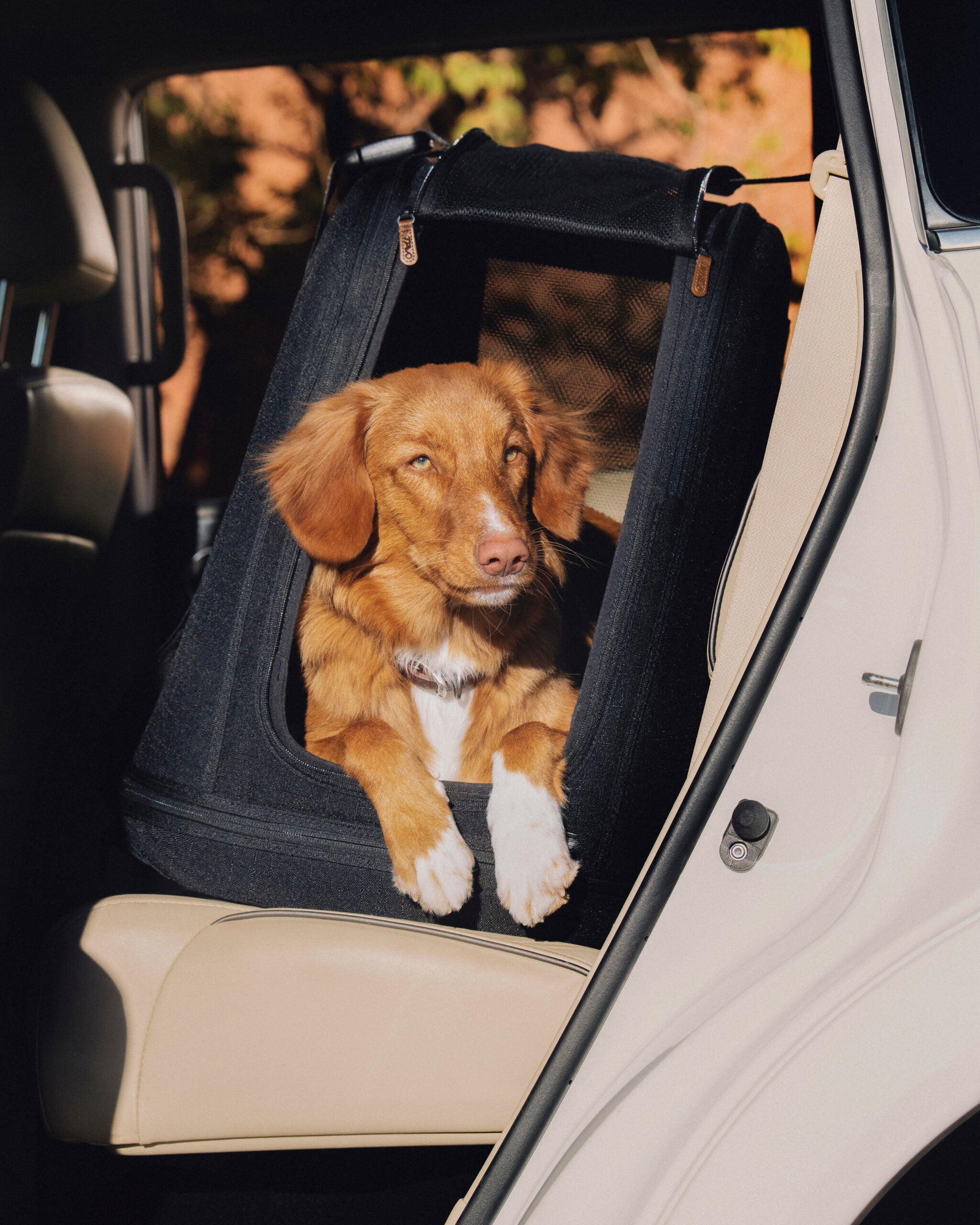 Trasportino da sedile per cani Crispin