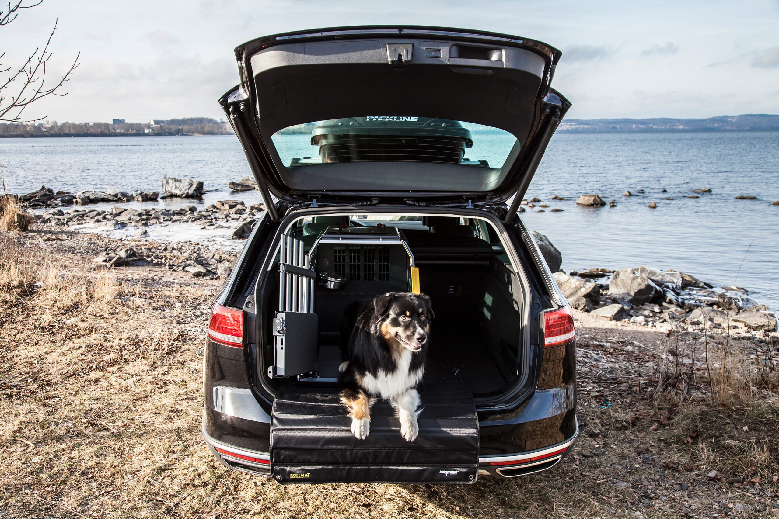 Trasportino per cani omologato acciaio Vario cage Singolo