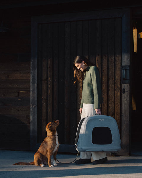 Trasportino da sedile per cani Crispin