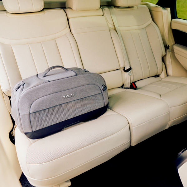 Trasportino da aereo e treno per cani taglia toy Dupree II