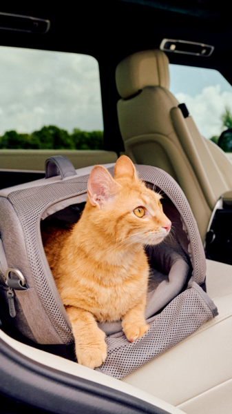 Trasportino da aereo e treno per cani taglia toy Dupree II